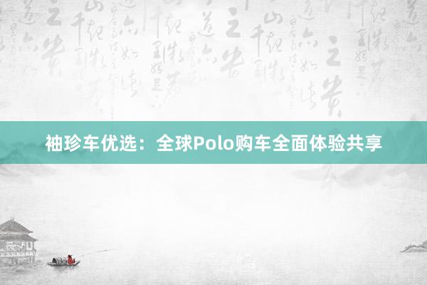 袖珍车优选：全球Polo购车全面体验共享